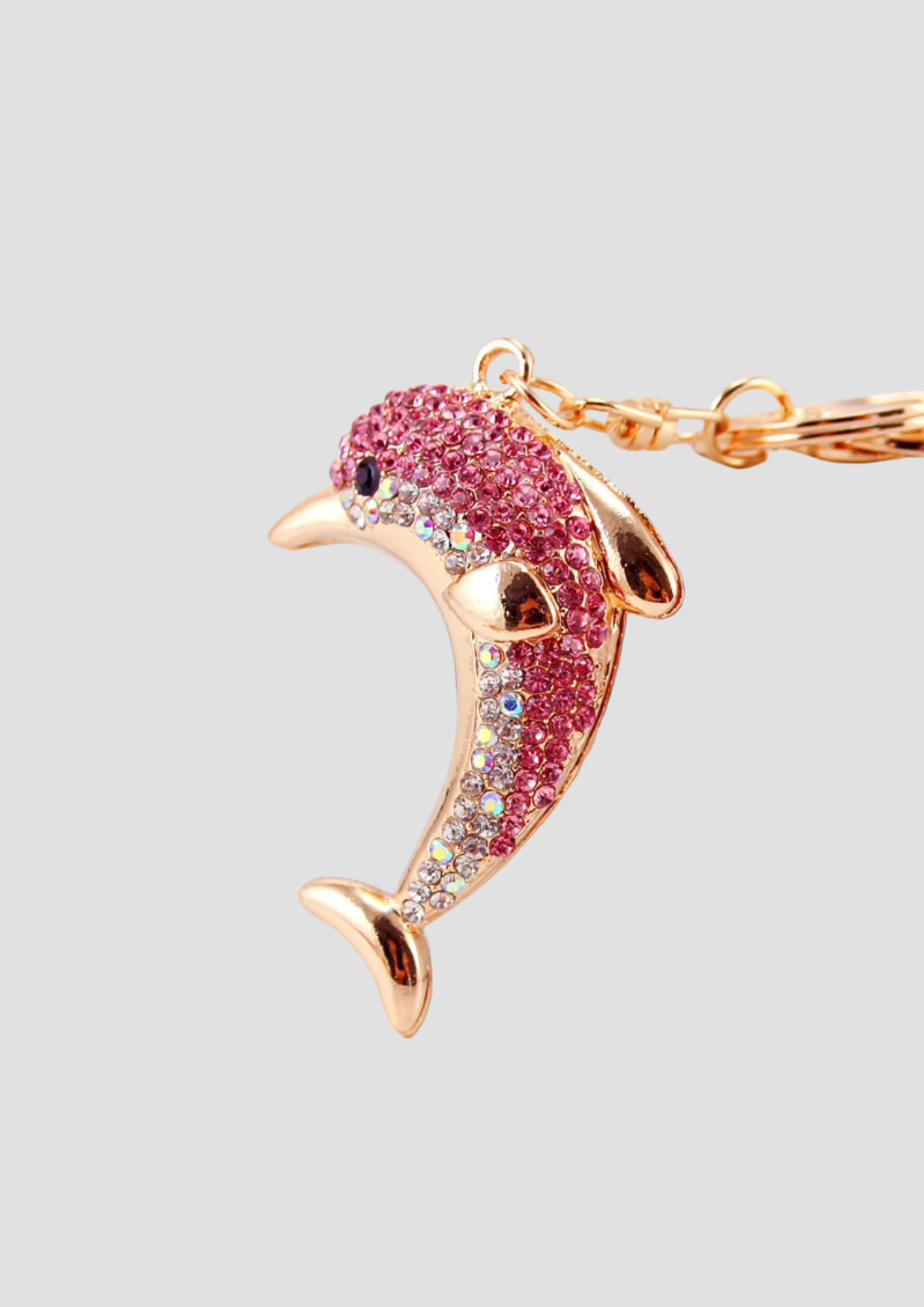Dolphin