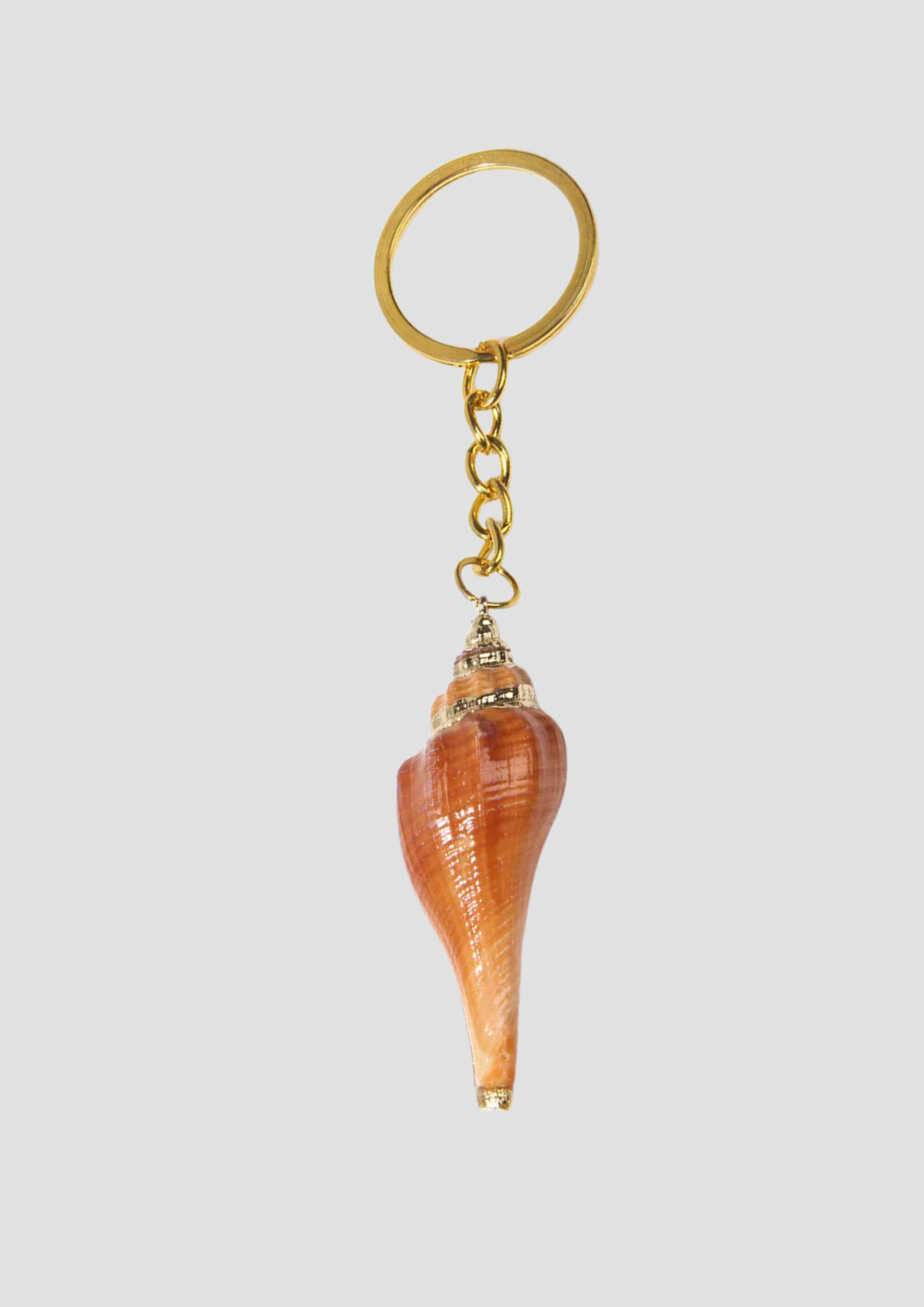 Crayfish Shell