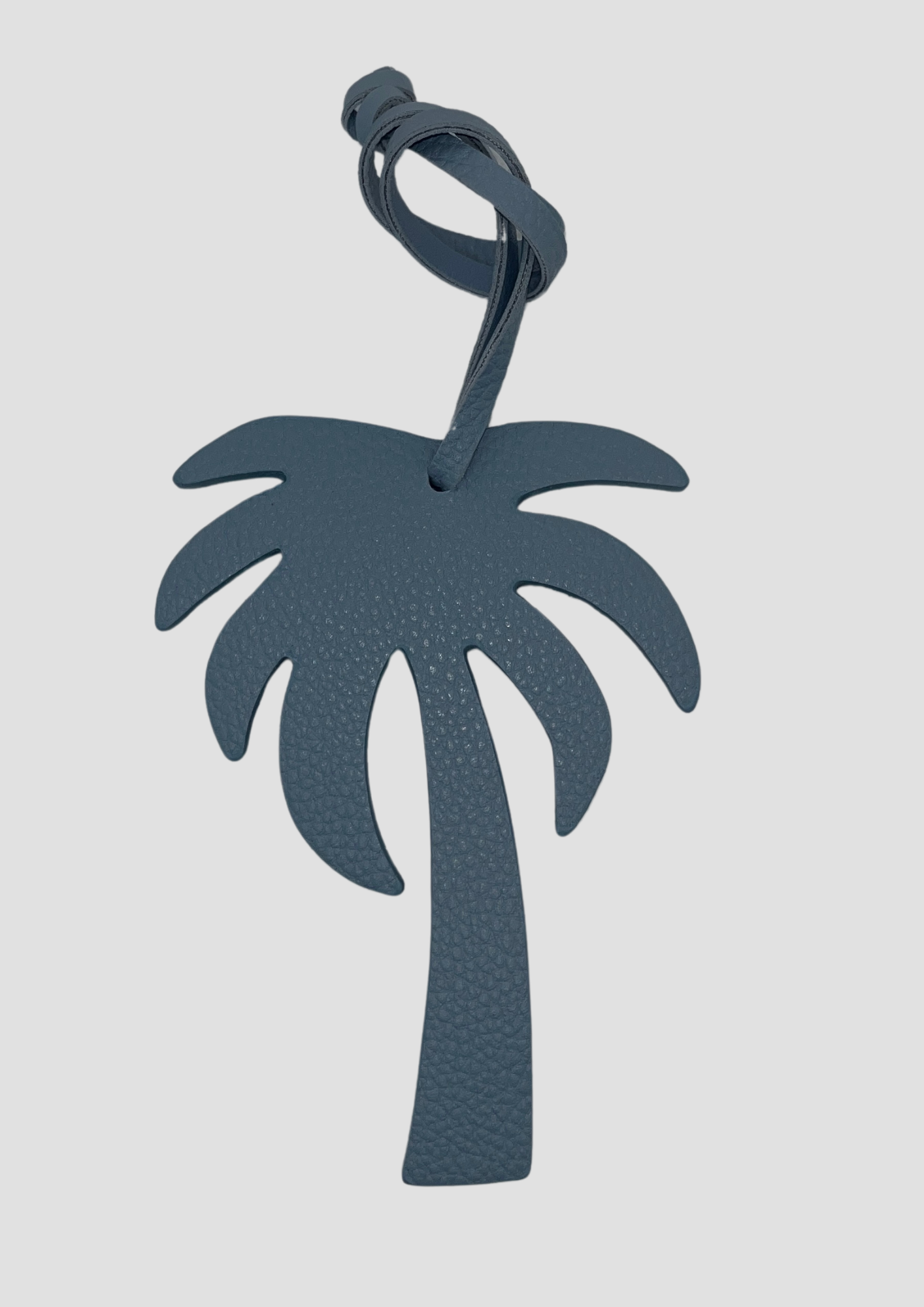 Palm Tree