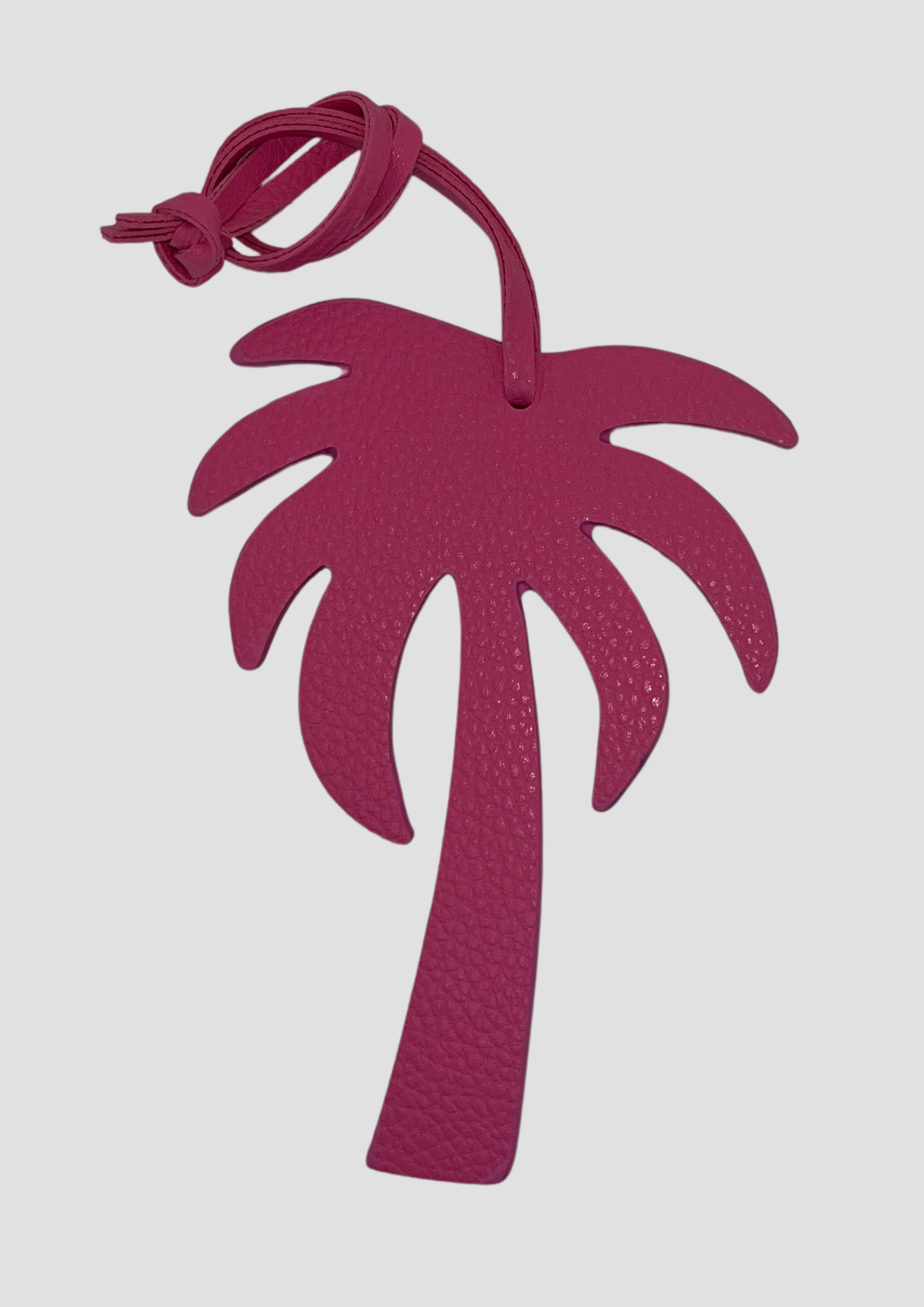 Palm Tree