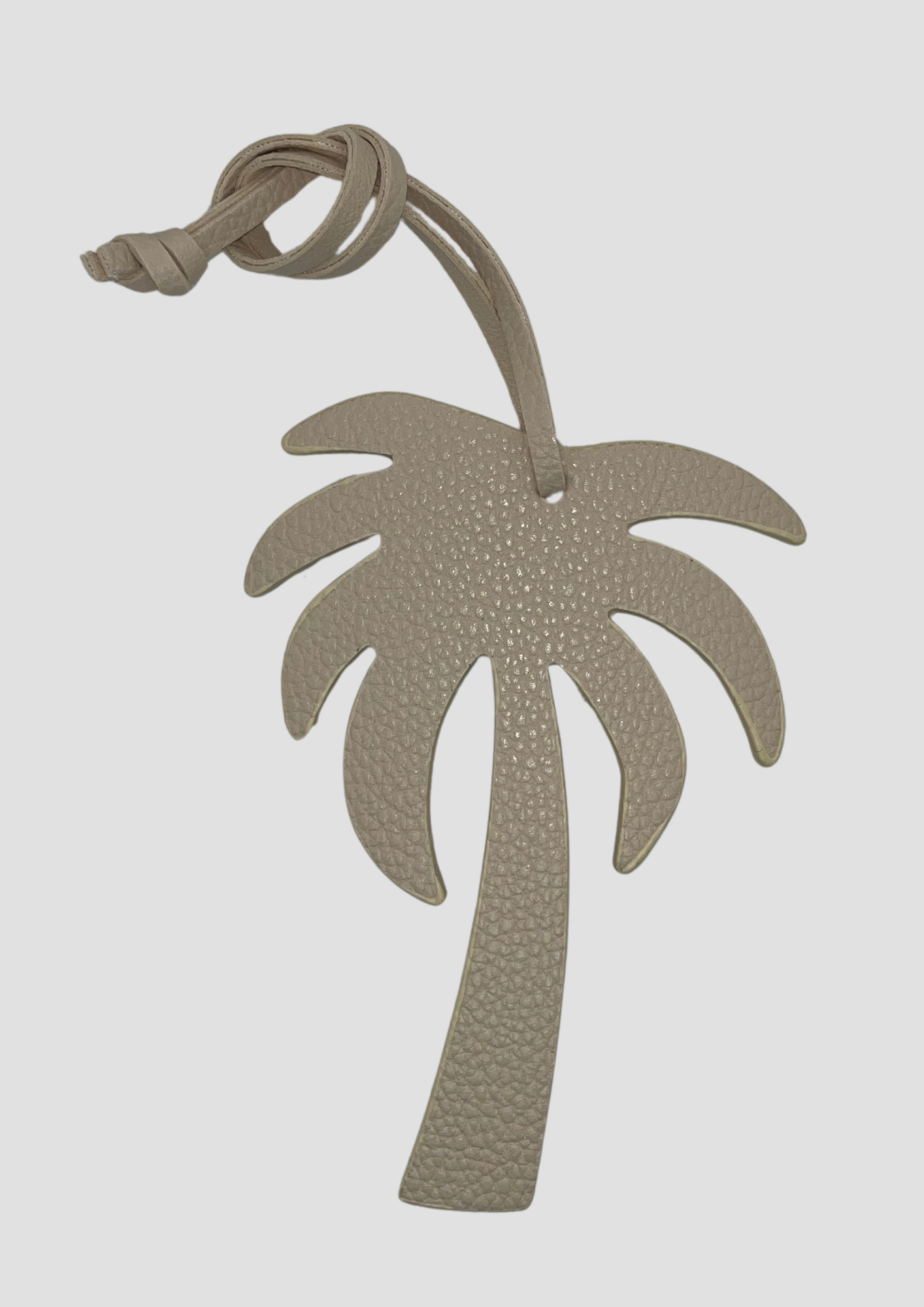 Palm Tree