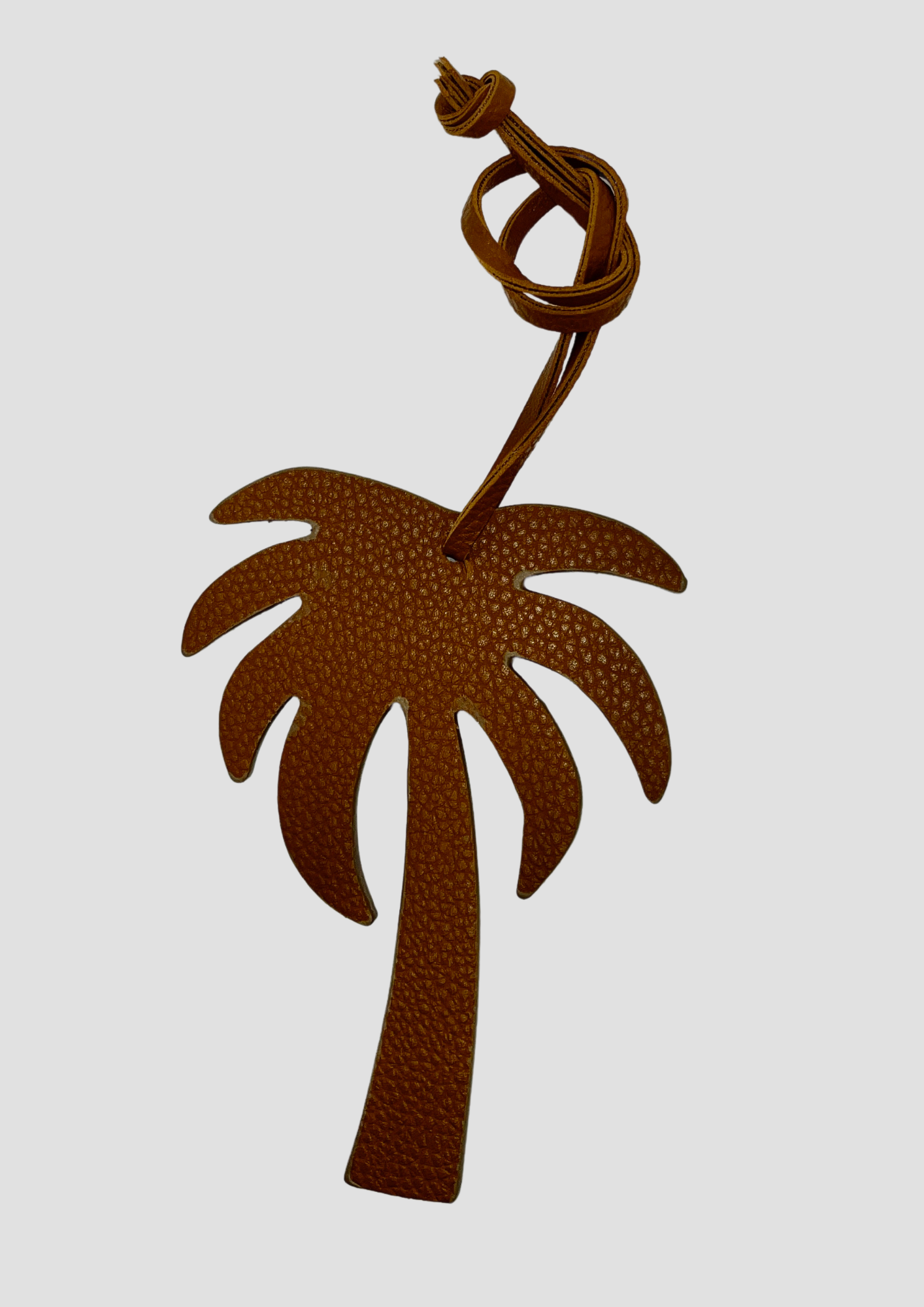 Palm Tree