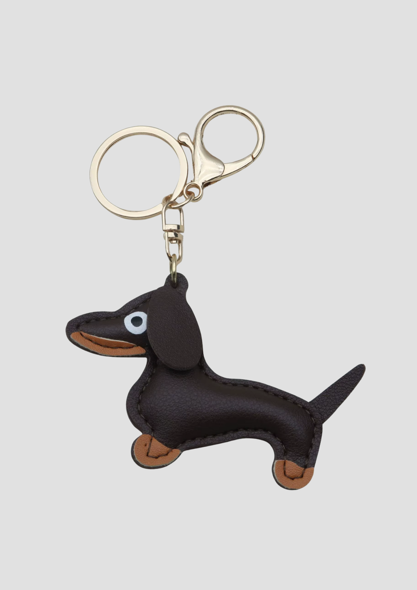 Dachs with ring