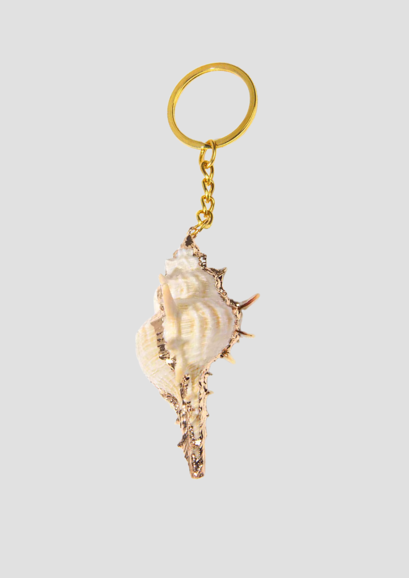 Gold-dipped Shell