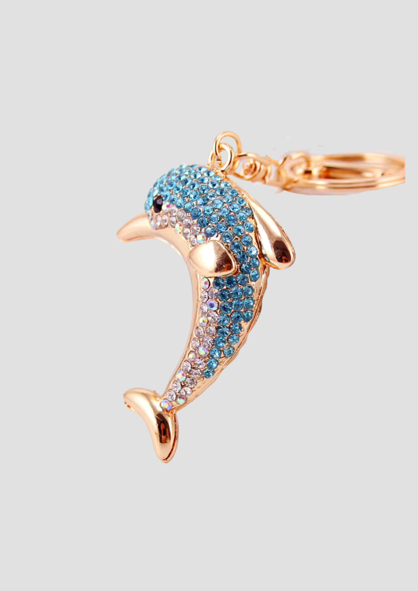 Dolphin