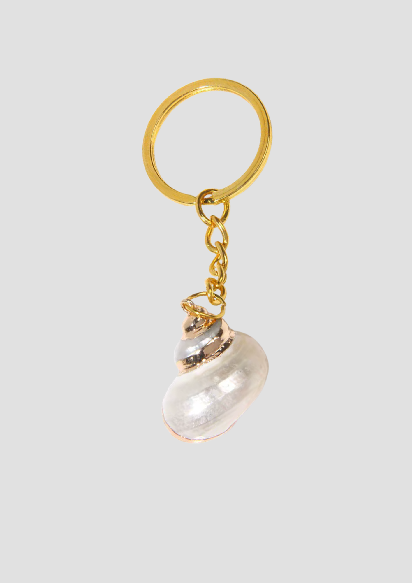 Snail Shell
